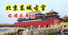 美女插鸡巴射精液动漫中国北京-东城古宫旅游风景区